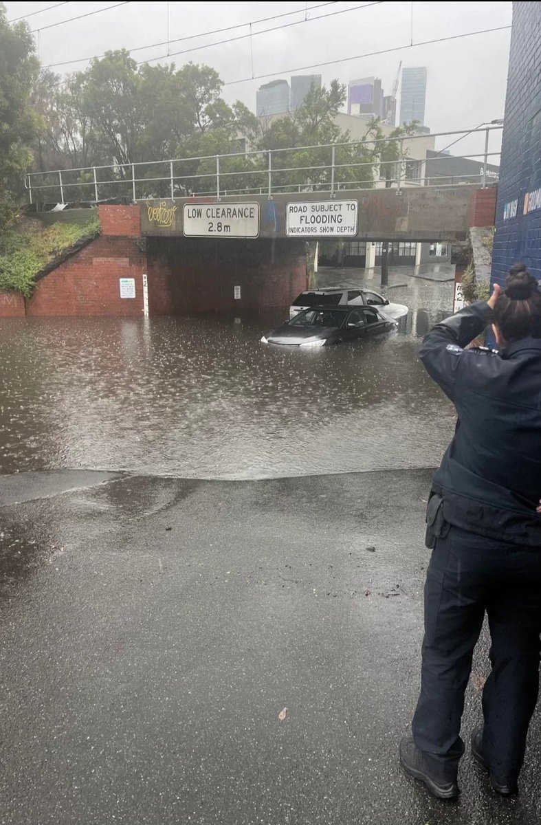 The Montague Street Bridge tweet media