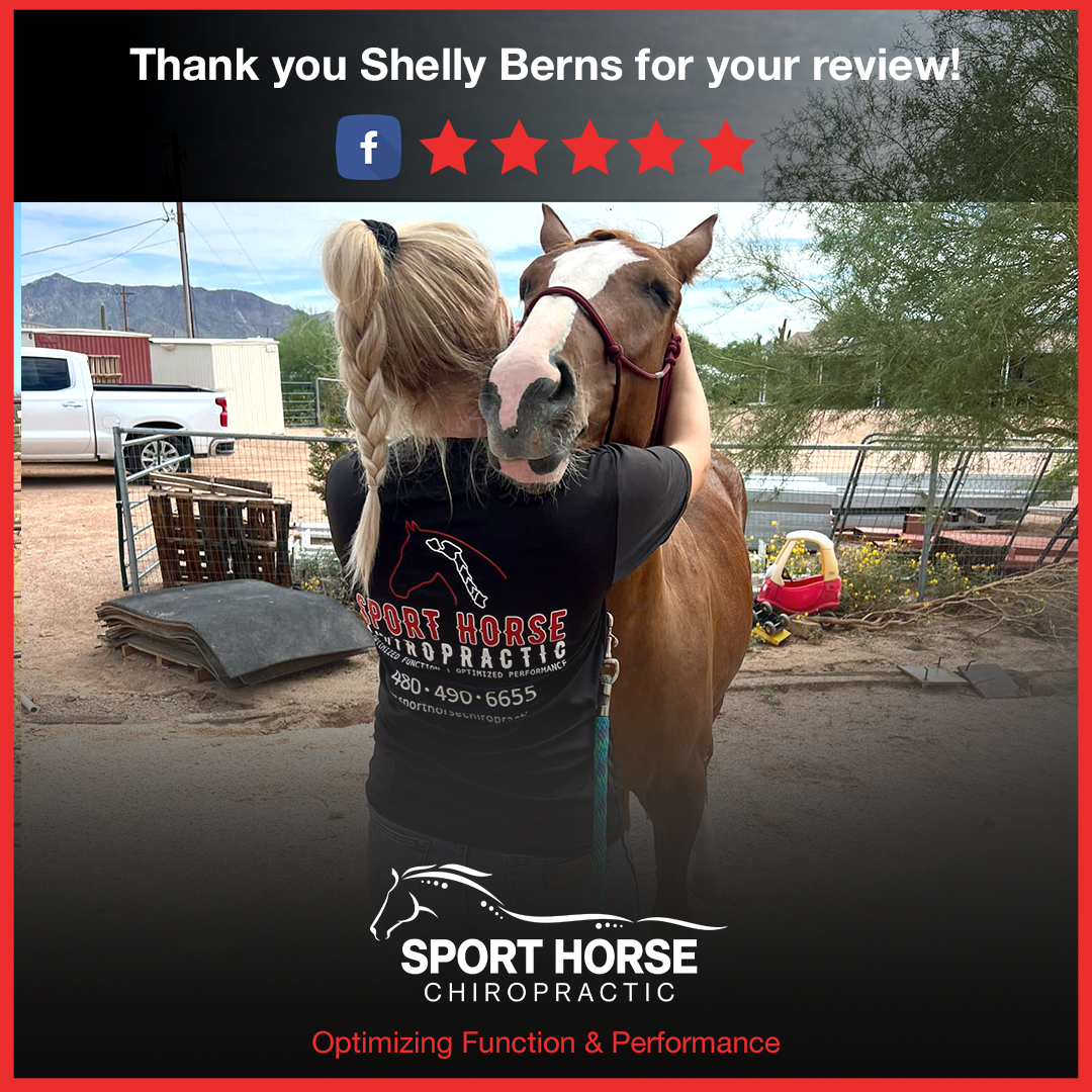drmikeadney's tweet photo. Thank you Shelly Berns for your #facebook #review!

Click here for our FB reviews! 

#chiropractor #equinechiropractic #reviews #equinechiropractor #equine #horses #performancehorses https://t.co/AlHY1NXn7g
