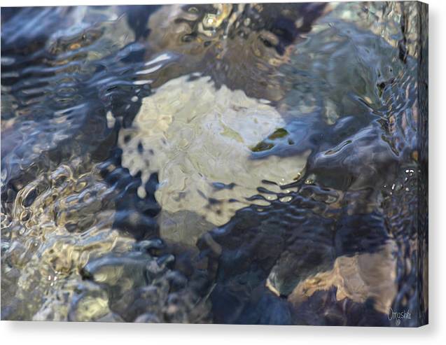 OmasteWitkowski's tweet photo. Water Wizard... FIND HIM: https://t.co/2ZCQP4gkzi 
p.s. Canvas #prints make fantastic #gifts and #Christmas is coming fast! With expected delays it's good to SHOP EARLY for #cards and gifts.
#photography #GiftThemArt #buyintoart #shopearly #landscape #artforinteriors #canvas #art https://t.co/KjMCReNG2n