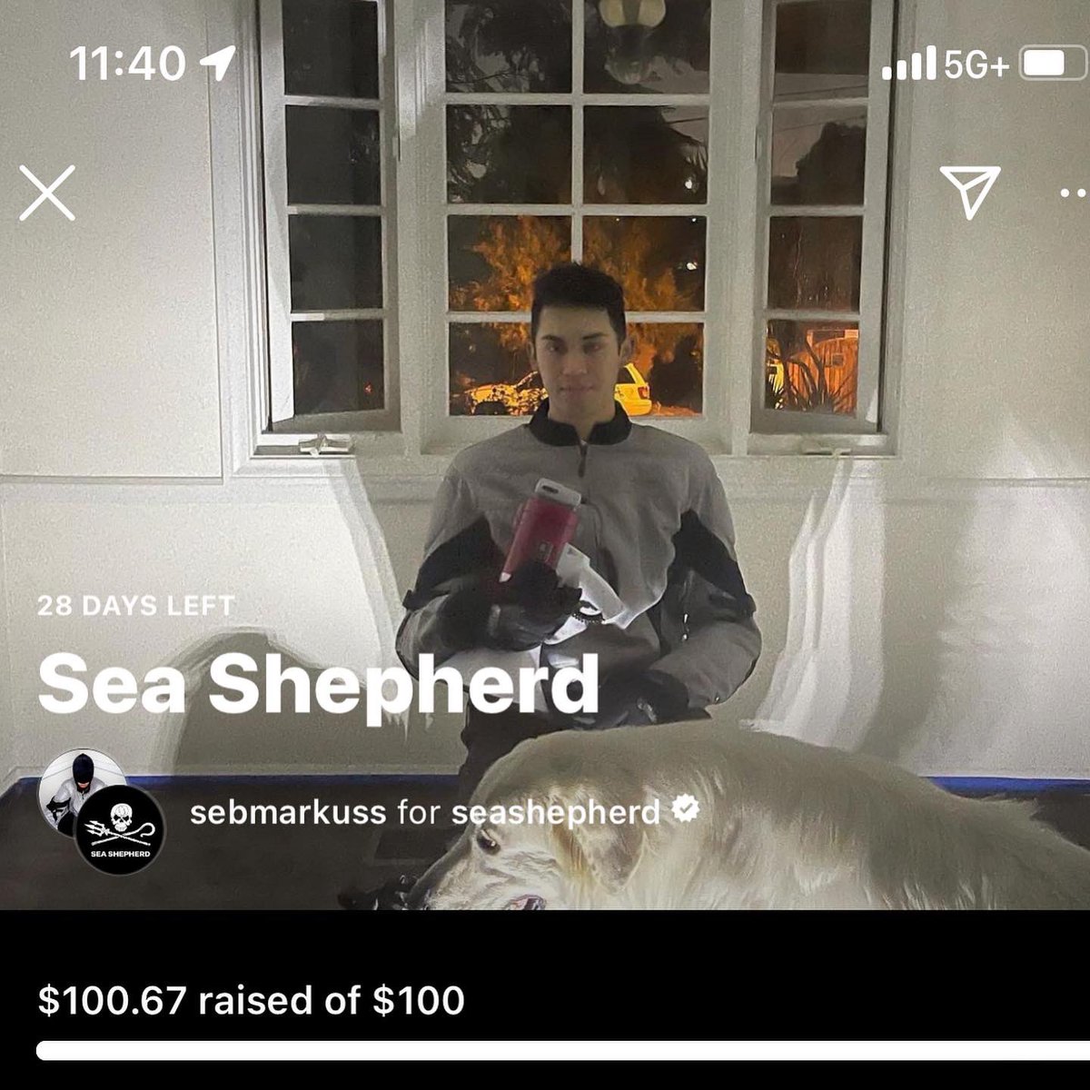 homegrown_xyz's tweet photo. Wanted to thank everyone who’s supported the @seashepherd campaign through this release — $155 raised cont. protecting marine wildlife around the world. 

If you want to support, you can donate $5+ here and receive a DL of “Sound of Alarms” + Inst/Aca 🐋

https://t.co/bRTCukpMbu https://t.co/bGzsnajNqS