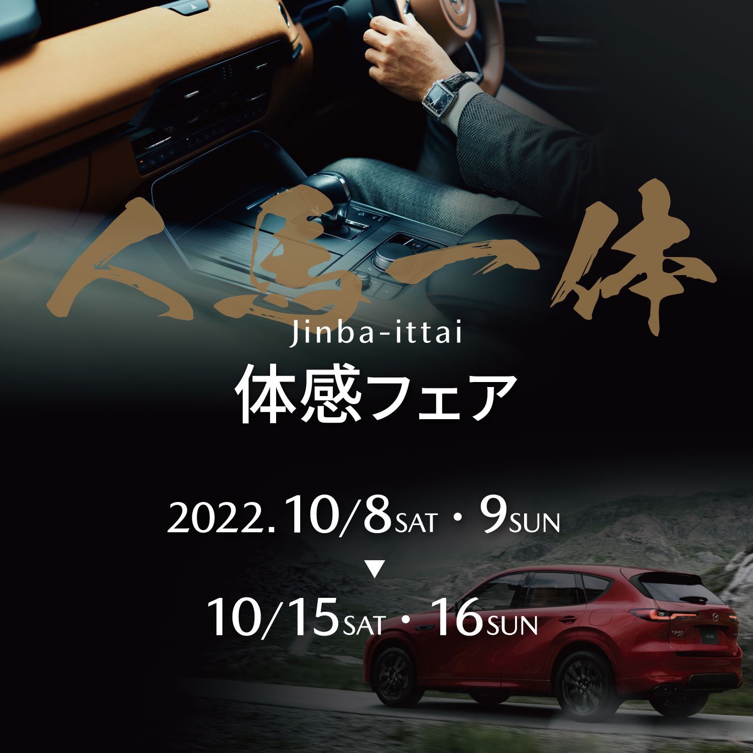 山口マツダ Twitter Search Twitter