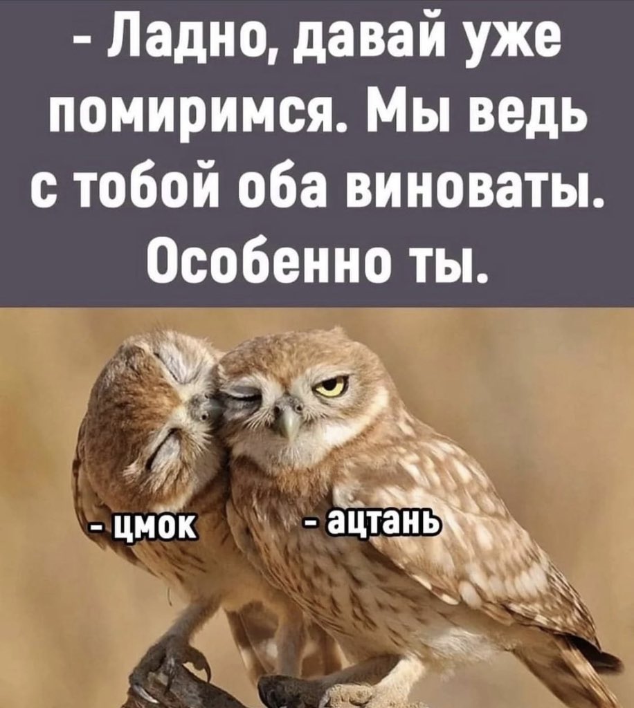 Оба виноваты особенно ты