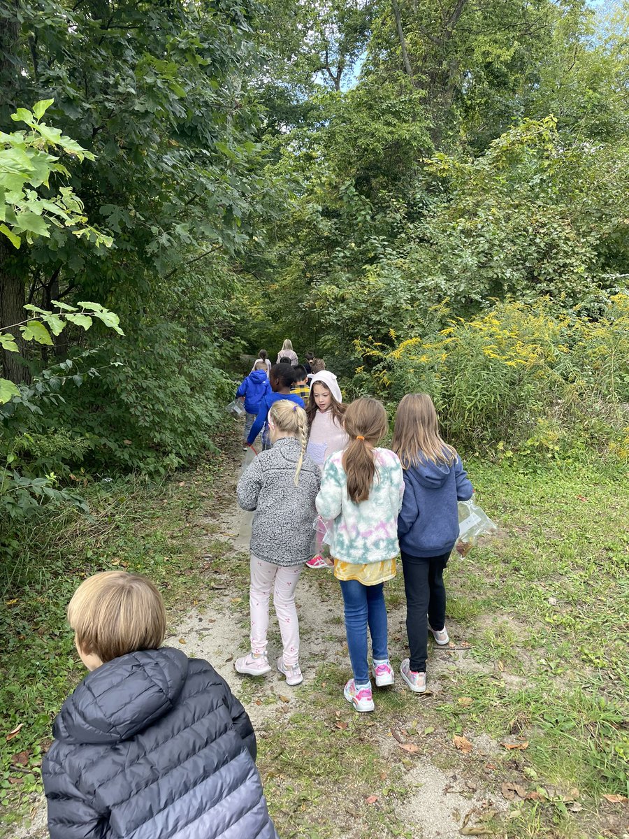 Last week we begun our leaf investigation with a nature walk! We found and observed so much right in our backyard!