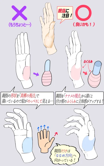 手の親指を描くときの【注意点とコツ】

「下手に見えやすい例❌」

「上手に見えやすい例⭕️」

🔻全ページ講座はここで見放題👇
https://t.co/FSZQVidIT4 