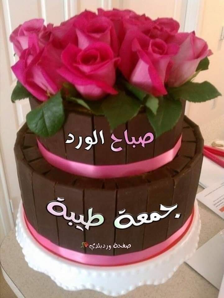 alaa amy tweet media