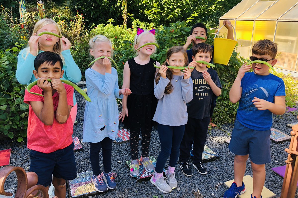 TESschoolyard's tweet photo. Green bean mustaches are officially a thing. 2nd and 3rd graders got in on the action today and harvested another 16lbs to donate! That’s 32lbs of green beans to give this week. 💚#Grow2Give #TuckahoeRocks #plotagainsthunger #OutdoorLearning https://t.co/E5uxUs3ipe