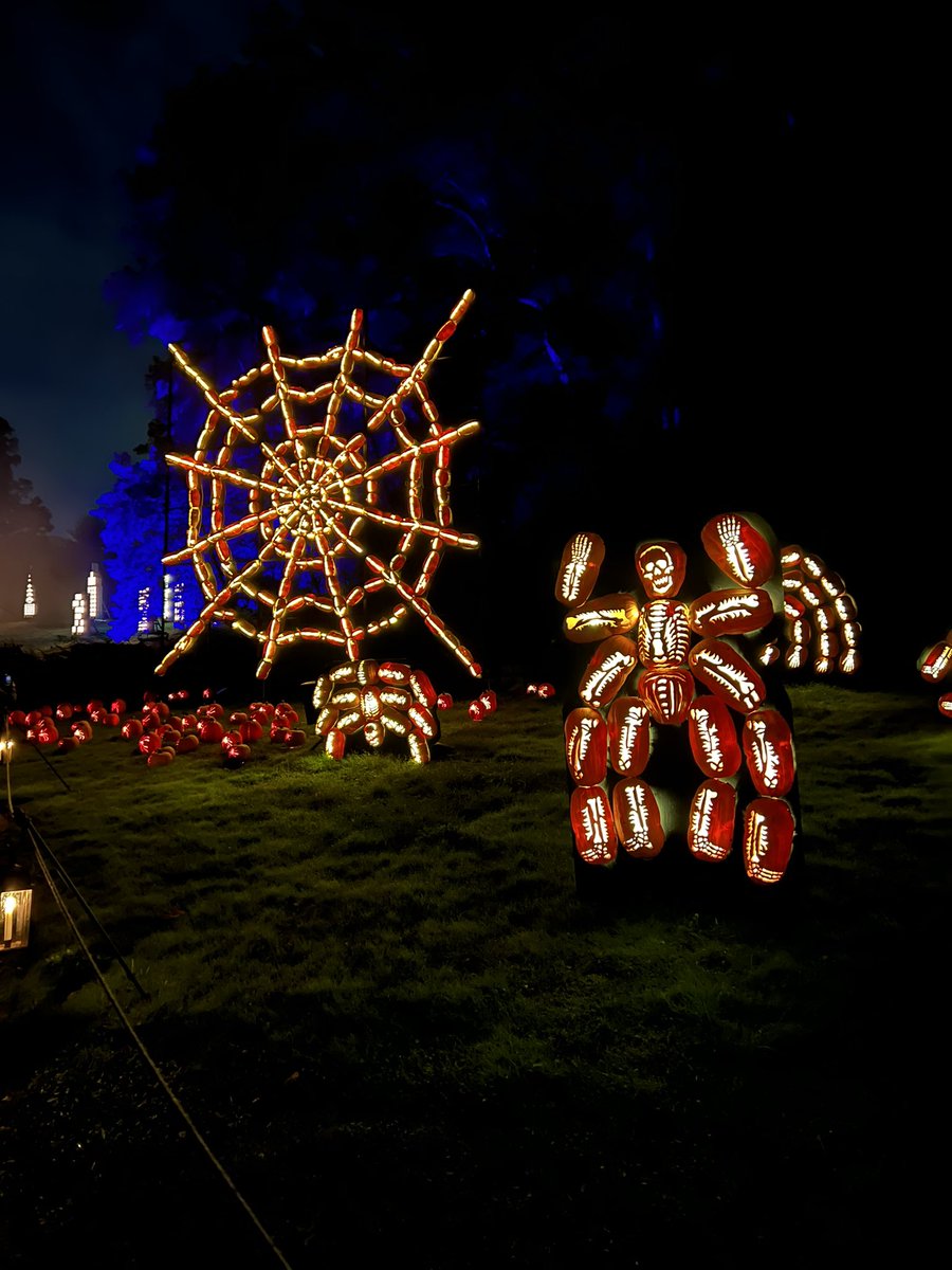 shri_jay's tweet photo. At pumpkin fest, just when i was wondering why would they put kubernetes logo to scare ppl off, my son explained it was just a spider web:) https://t.co/WkU7QrutiU