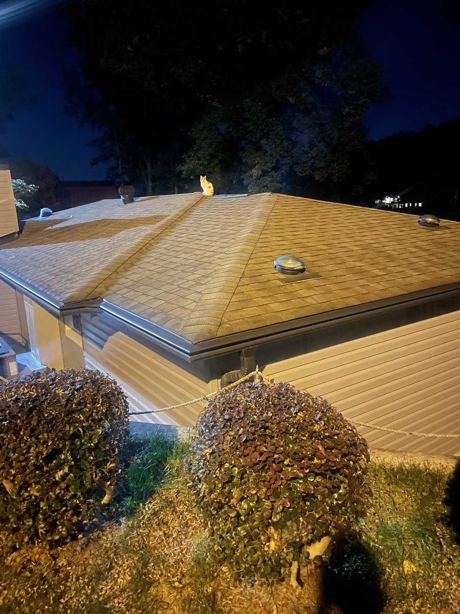 jacqbrush's tweet photo. Creamsicle…. 🤦‍♀️ #NotHisHouse https://t.co/xpCb74fref