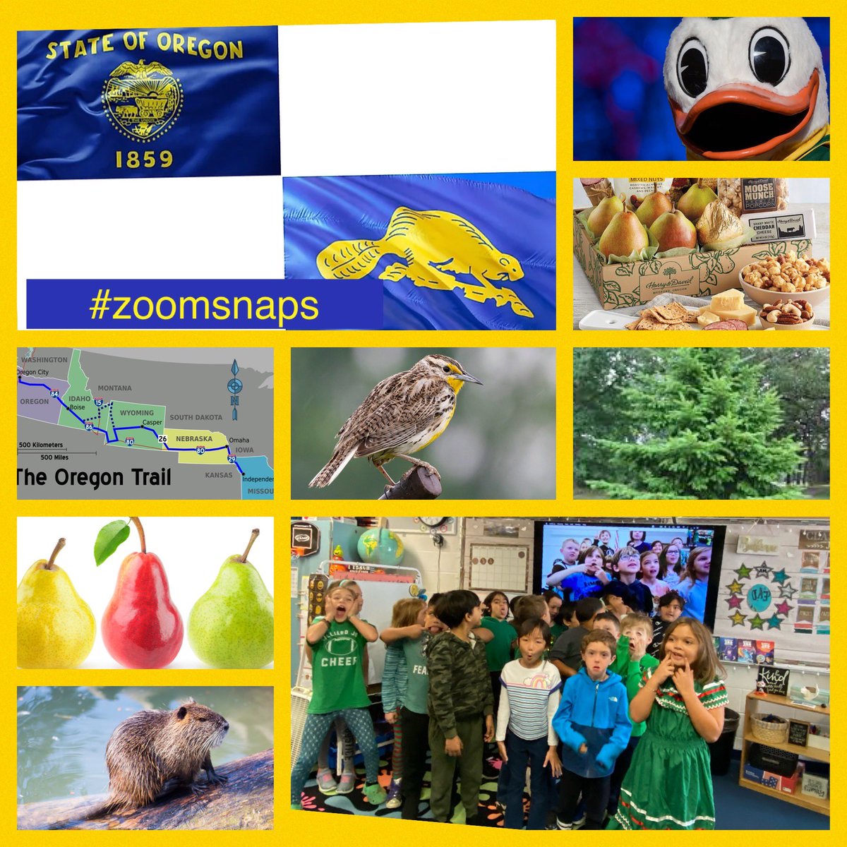 MrsHayesfam's tweet photo. Check out my kids #zoomsnaps that showcases our wonderful zoom with our Oregon friends❤️ @tishrich https://t.co/NrQCyeyMnP