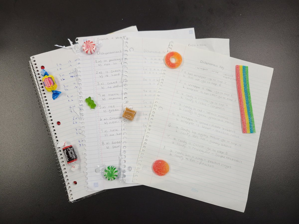mrs_mrandle's tweet photo. Dichotomous keys using candy in SBI3U! #HandsOnYum @KSS_ldsb https://t.co/9pVvF5e8uc