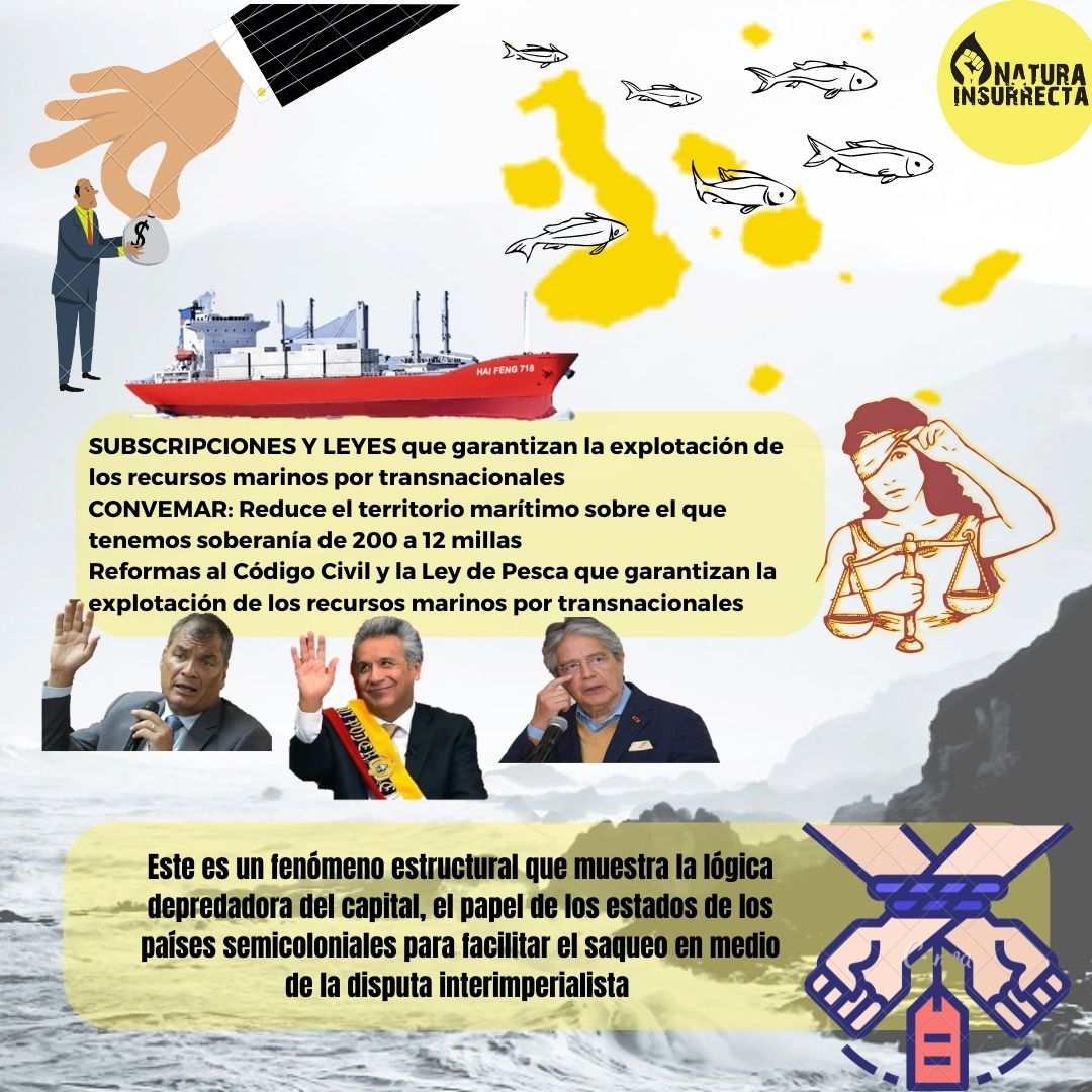 NaturaInsurrect's tweet photo. Costas ecuatorianas en medio del saqueo y disputa interimperialista 👇🏽
Sigue el 🧵 https://t.co/7W245XKMvs