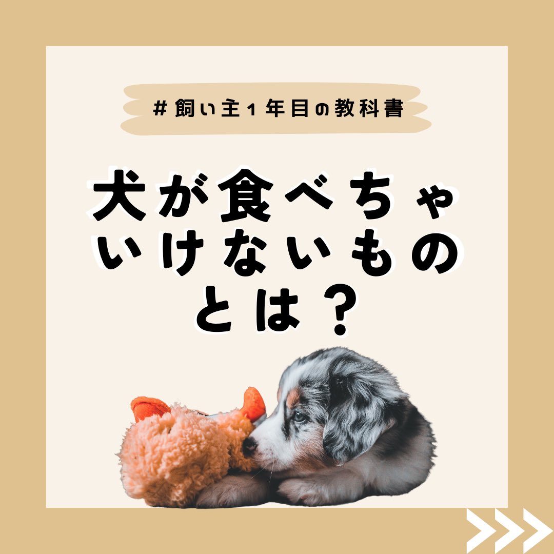 ゆき 獣医 動物達を危険に晒す誤情報はゼロにはならないので 信頼できる情報を増やして薄めていきたい どんなインフルエンサーがyesと言っても それ以外の多くの獣医師がnoと言うならnoの可能性の方が高いんです ぶどうは犬にあげたらダメなんです ゆき 獣医 動物達を危険に晒す誤情報はゼロにはならないので 信頼できる情報を増やして薄めていきたい どんなインフルエンサーがyesと言っても それ以外の多くの獣医師がnoと言うならnoの可能性の方が高いんです ぶどうは犬にあげたらダメなんです