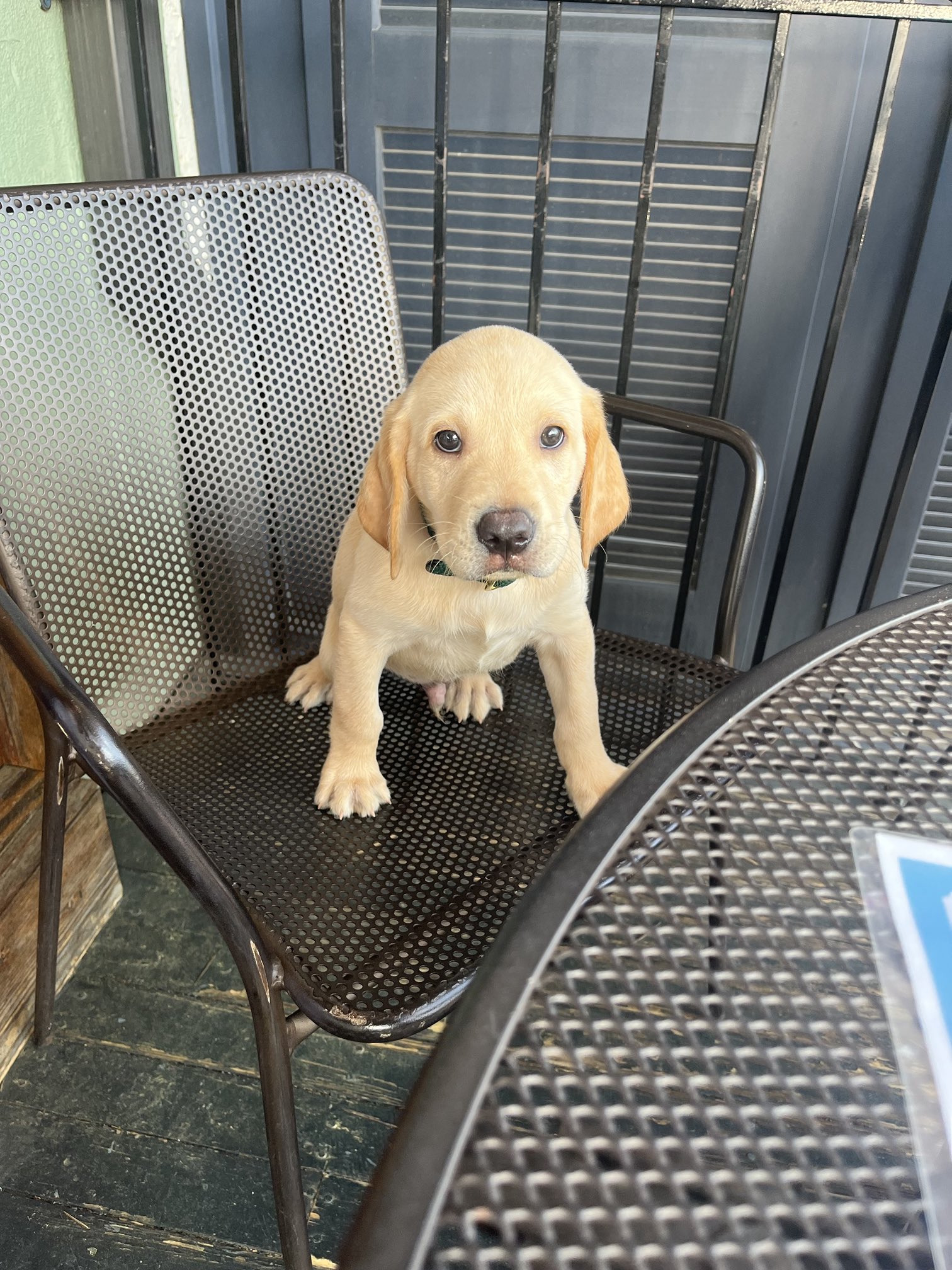 To eliminate confusion | SEC Rant