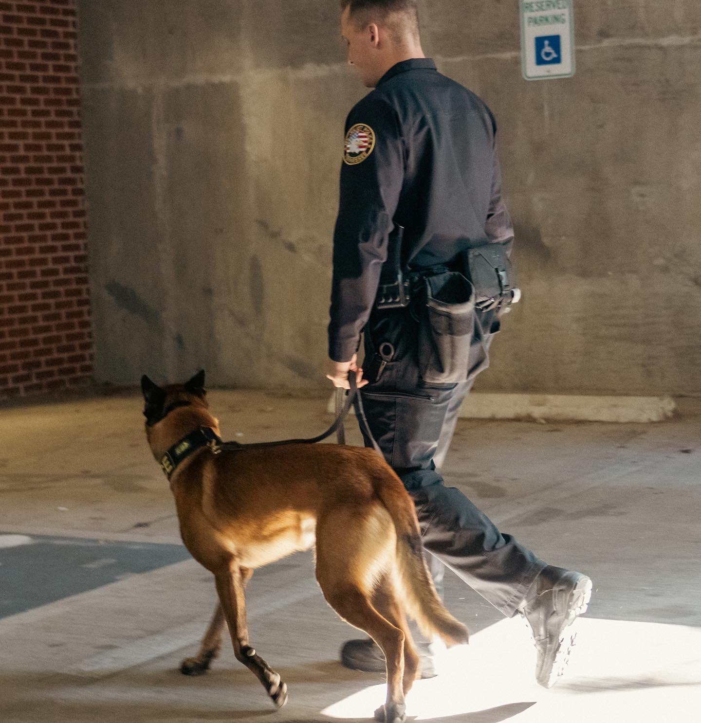 Mt. Juliet Police on Twitter "K9 Citron went off to college today