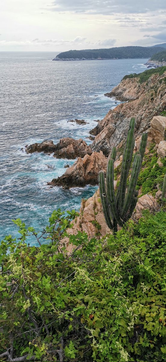 LETISIMO's tweet photo. #Huatulco @earthcheck #EarthCheckMaster2022 #DestinoEarthCheck https://t.co/3fbevxbDnU