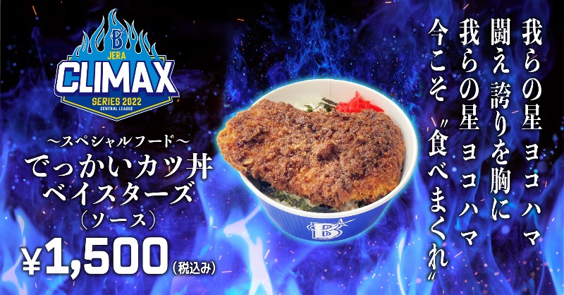 NIKE カツ丼さま みなさまの熱い応援にこたえて、 「でっかいカツ丼ベイスターズ(ソース