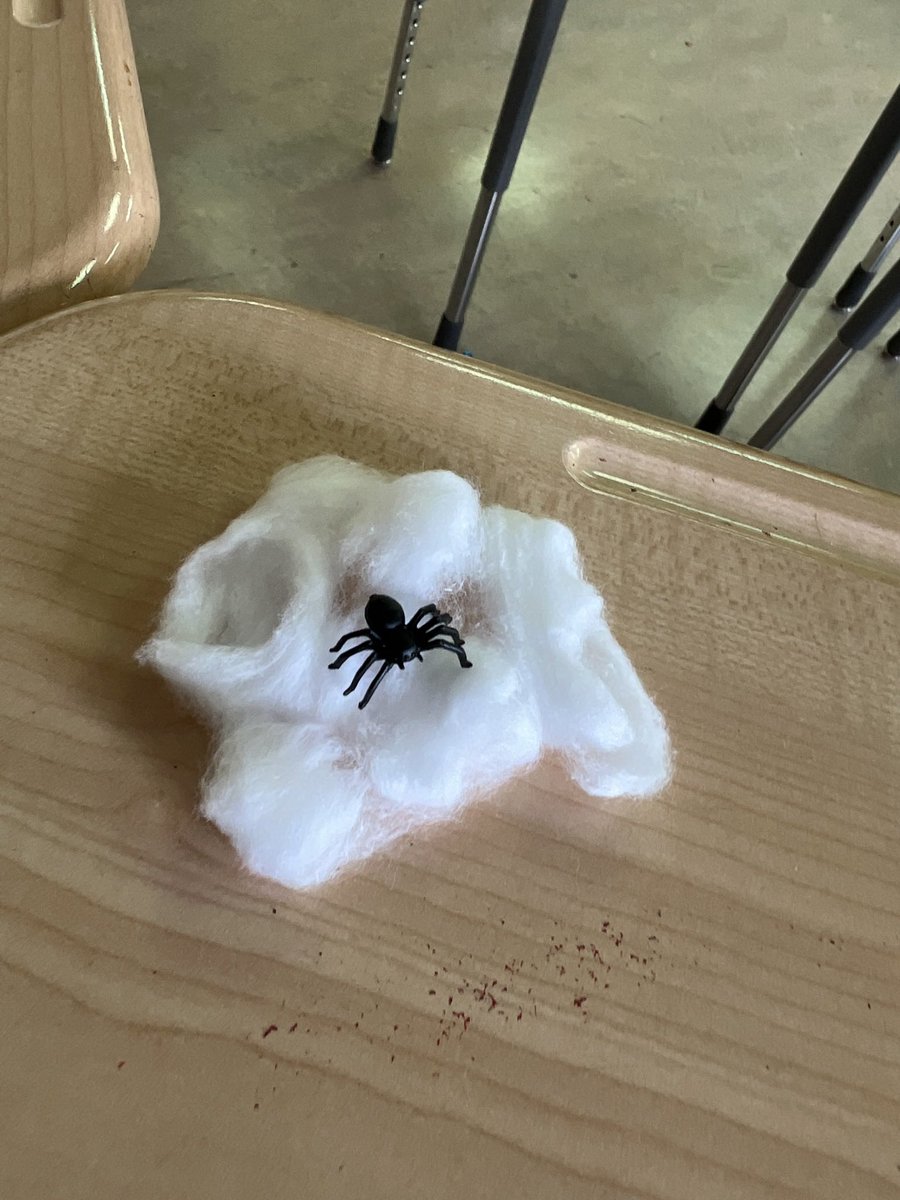CCAgrade5's tweet photo. It’s been a week of learning in #gradesix ! I’m trying to love…persuasive writing. (Including spiders!) And, reasons to give thanks! Happy Thanksgiving!! @CochraneAcademy #rvsed https://t.co/4LAWwvoxcj