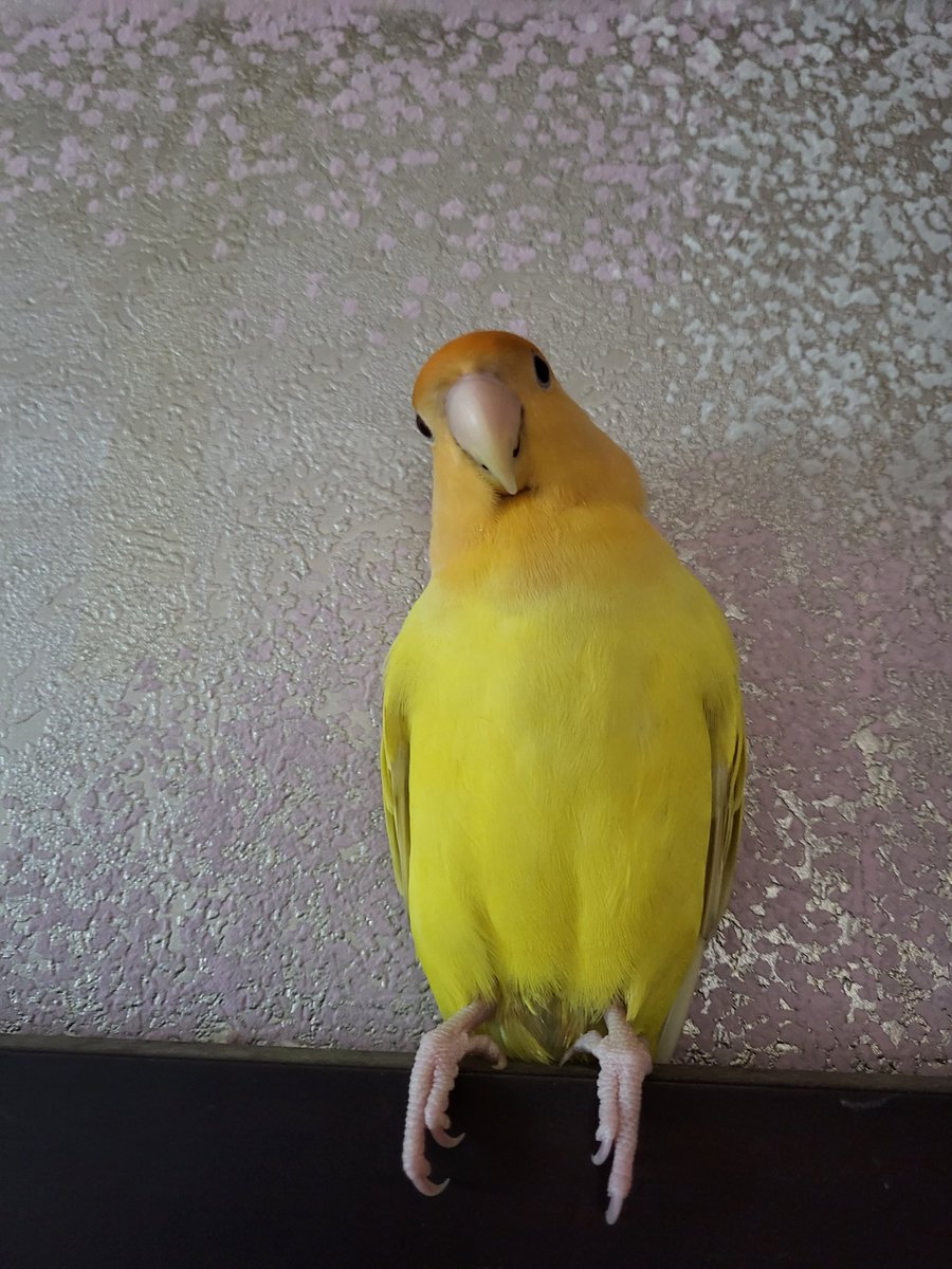 하룻밤 사이에 좀... 든든해졌구나?