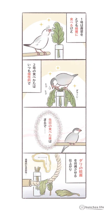 青菜の食べかたにも個性がある
#文鳥 
#bunchoslife 
#4コマ漫画 