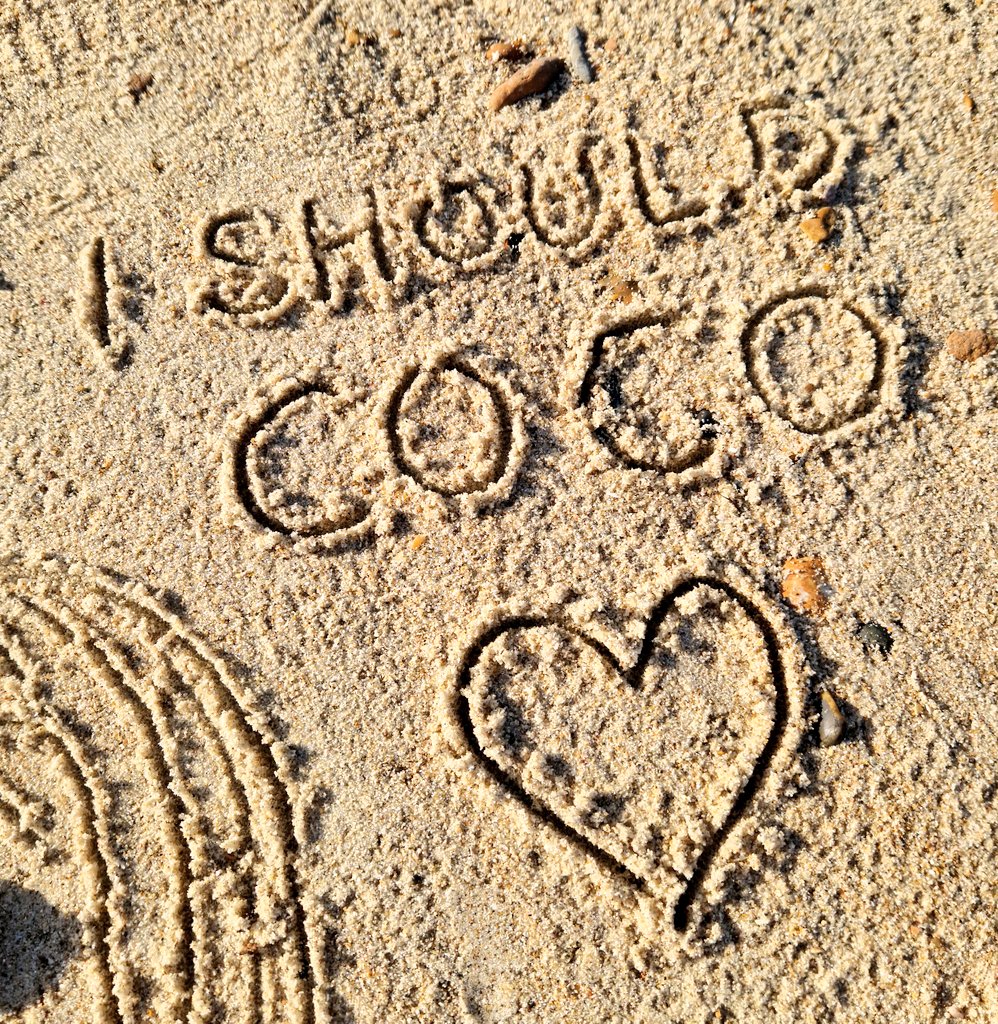 DigiDaughter's tweet photo. CoComelon 📺
I Should Coco 🍉 #cocomelon #nurseyrhymes #singalong #moonbugentertainment
💛 #Covid2022 #Lockdown2021 #morale #VitaminSea 🌊🌊🌊 #DuneToons #Lockdown2020 #comics #cartoons ✍️ #SandBanksy #shorelinesally Character No.1723 https://t.co/LafopEMMH5