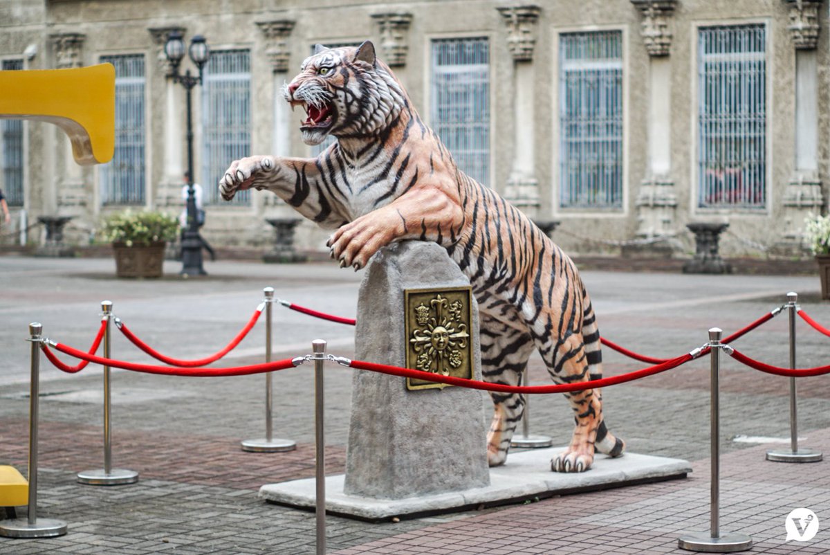 varsitarianust's tweet photo. NO MORE WISHING!

LOOK: UST has barricaded the tiger statue at the Plaza Mayor with stanchion barriers and removed the coins placed in its mouth after it became a make-believe wishing well for Thomasians this prelims week. https://t.co/OCmBjaW8GZ