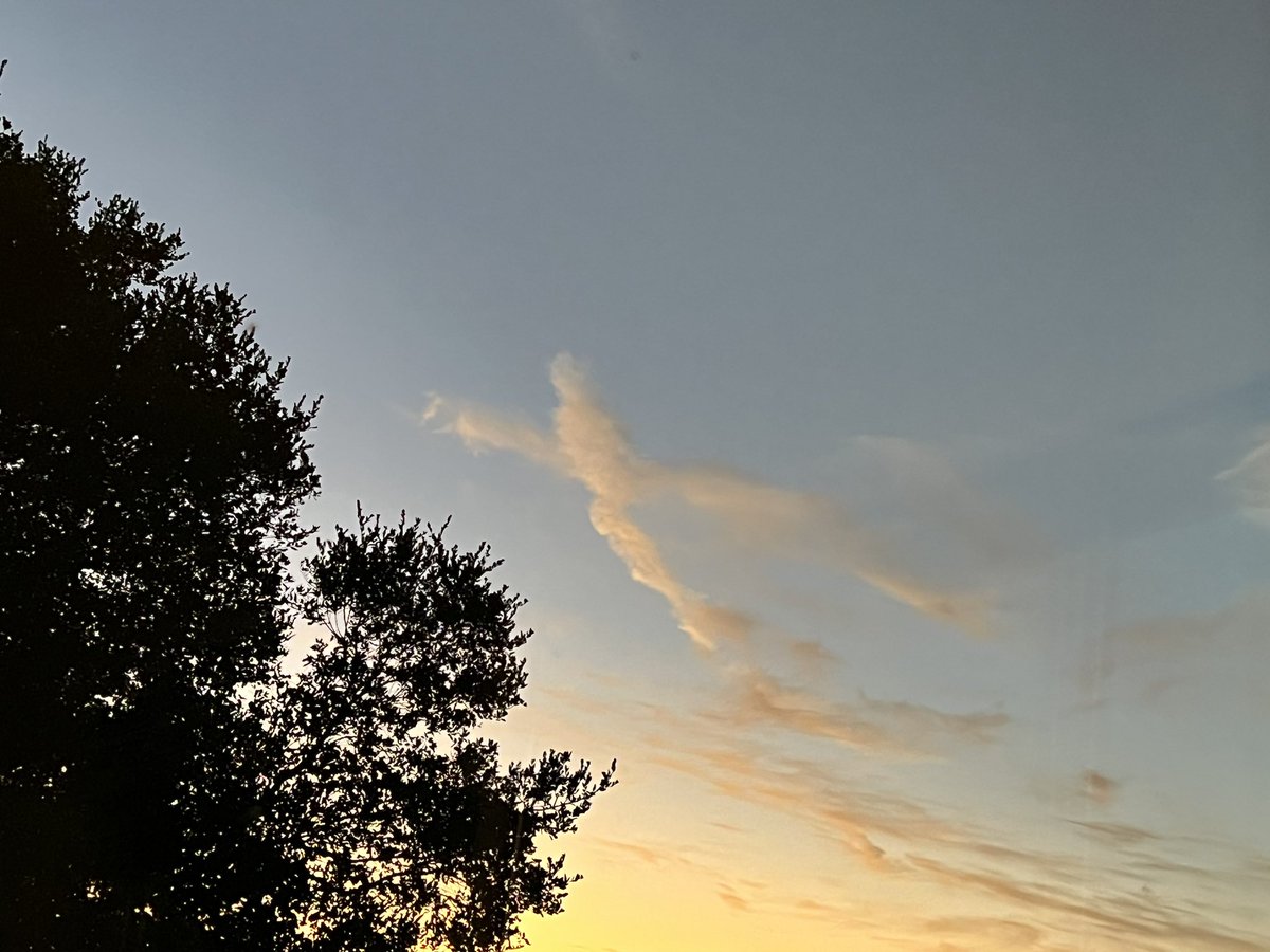 Andy Wilson tweet media