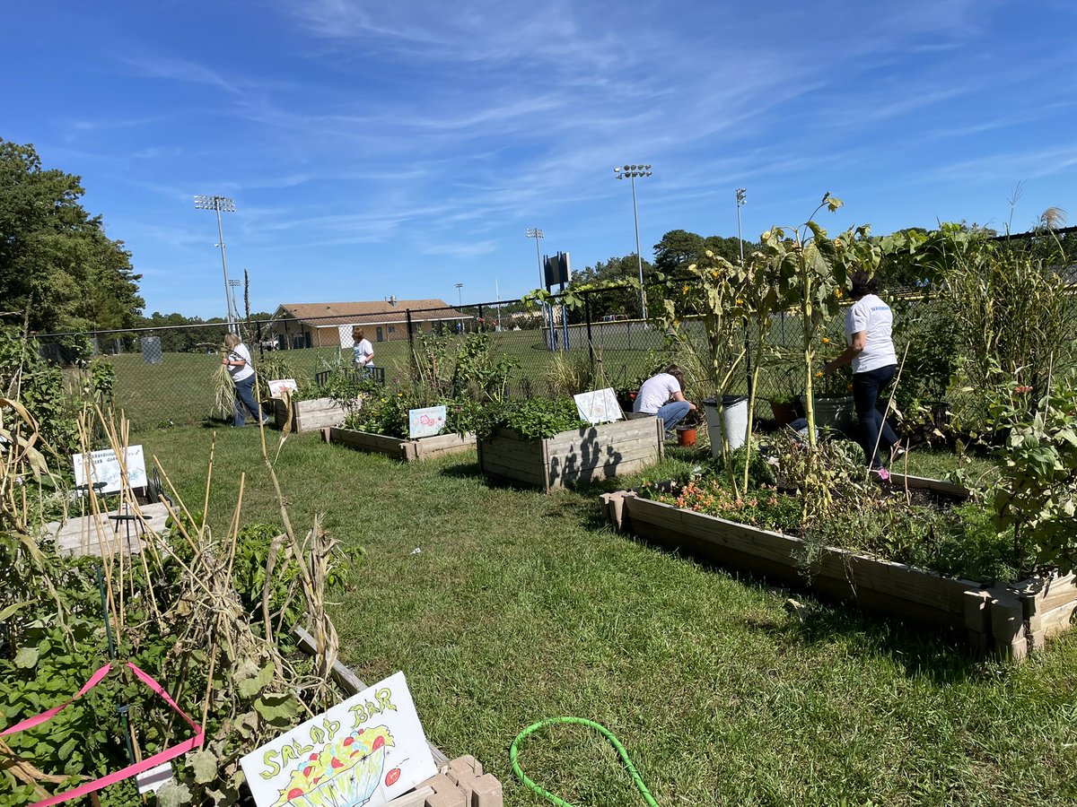 tovaherskovitz's tweet photo. Spent most of the day outdoors at the @one_county community garden with some awesome volunteers from @oceanfirstbank 

#communitygarden https://t.co/XcaYssV8ZO