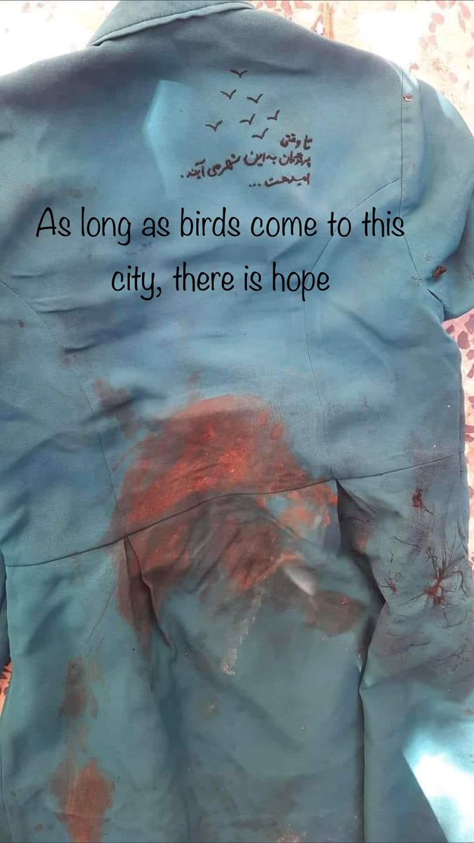 DidarNadeem's tweet photo. As Long as birds come to this city, there is hope
#StopHazaraGenocide https://t.co/vKCGIVv8A6