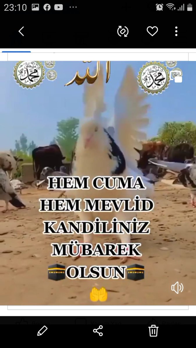 Kandiliniz mübarek olsun