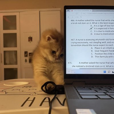 dsoomy's tweet photo. #NewProfilePic https://t.co/ocli3drAd8