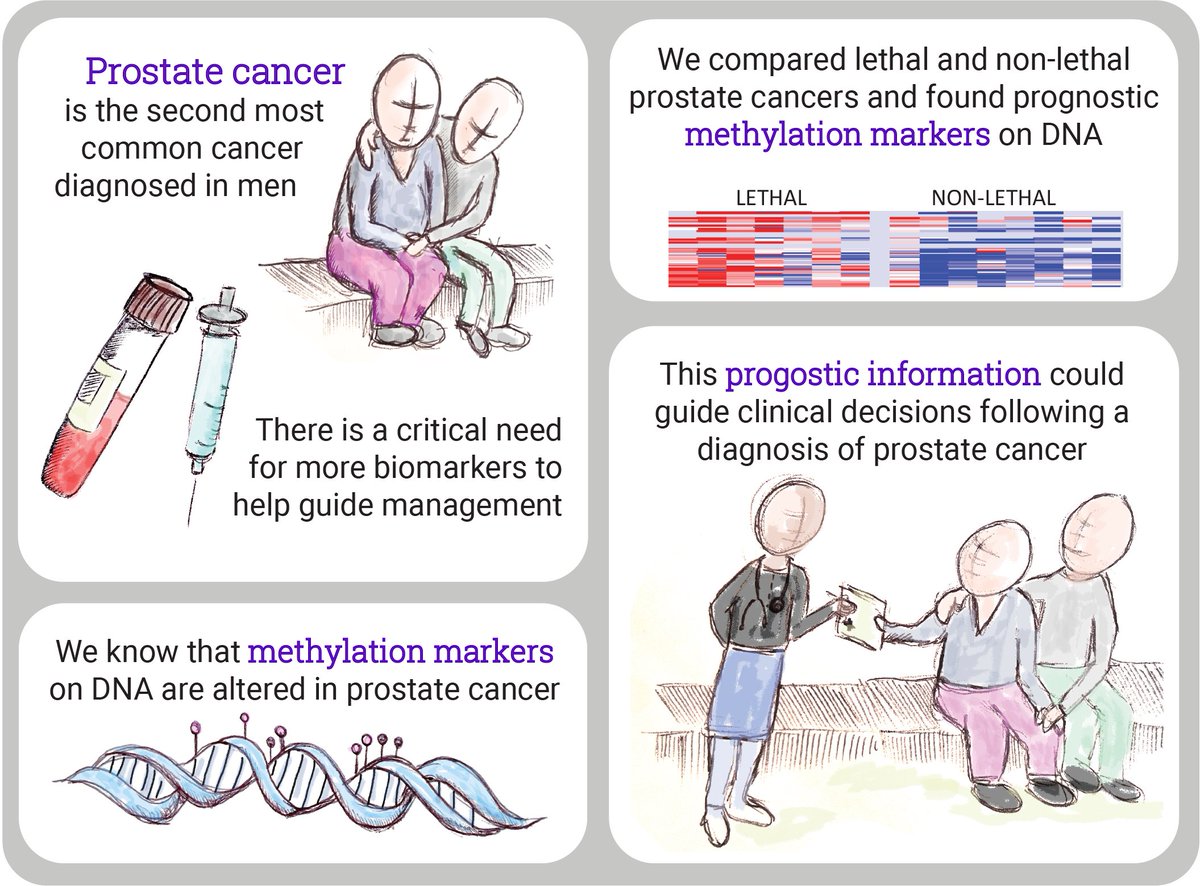 Kate Patterson (@katepatt) on Twitter photo See this fantastic paper about prostate cancer biomarker discovery by <a href="/suscla/">susan clark</a> <a href="/ruthpidsley/">Ruth Pidsley</a> <a href="/ClarkEpiLab/">ClarkLab</a> <a href="/GarvanInstitute/">Garvan Institute of Medical Research</a> doi.org/gqxgh6 - I made this summary graphic to make the science story more accessible. #sciart #storytelling #graphicalabstract #ProstateCancer See this fantastic paper about prostate cancer biomarker discovery by <a href="/suscla/">susan clark</a> <a href="/ruthpidsley/">Ruth Pidsley</a> <a href="/ClarkEpiLab/">ClarkLab</a> <a href="/GarvanInstitute/">Garvan Institute of Medical Research</a> doi.org/gqxgh6 - I made this summary graphic to make the science story more accessible. #sciart #storytelling #graphicalabstract #ProstateCancer