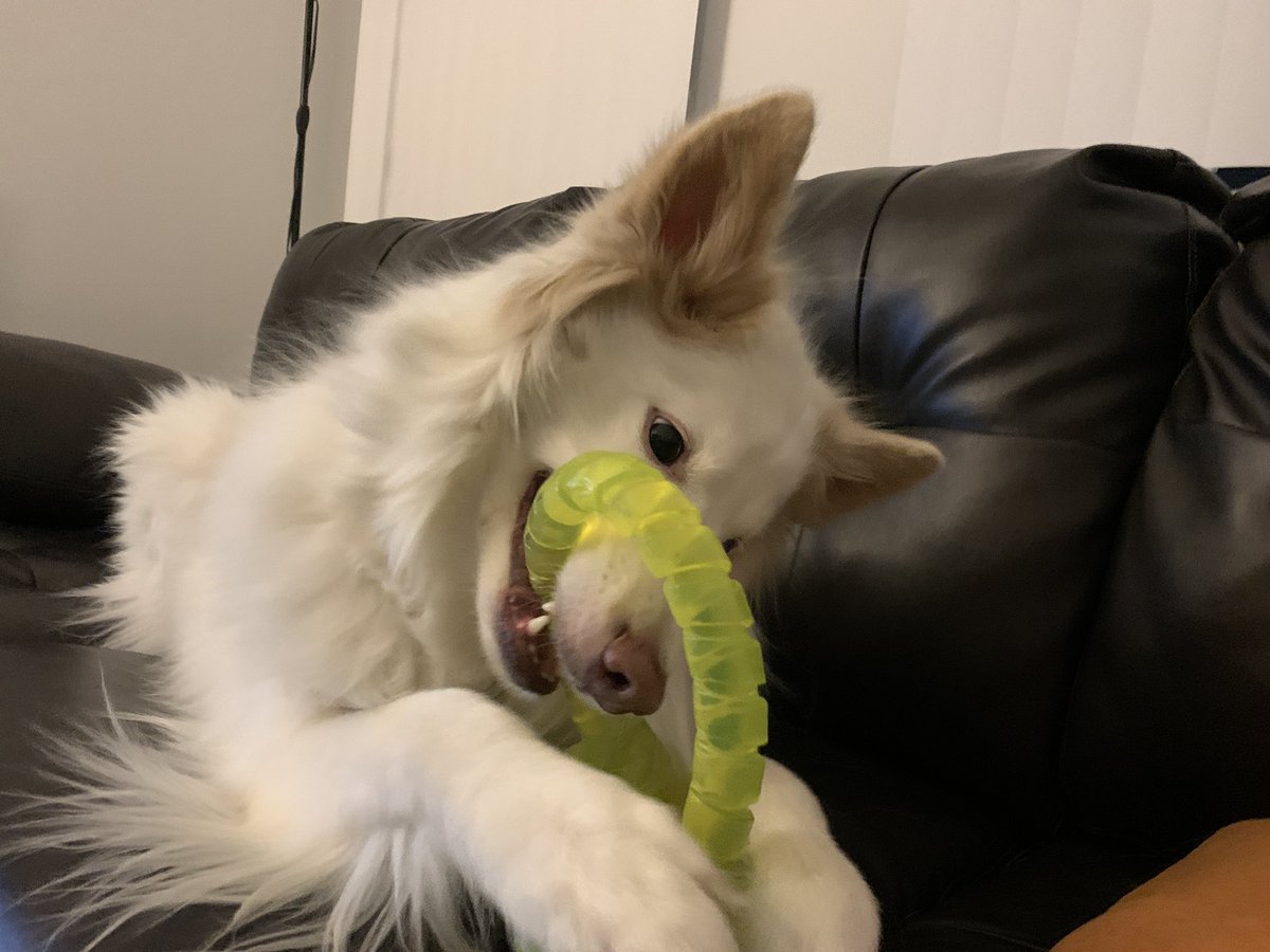 Kent Driscoll tweet media