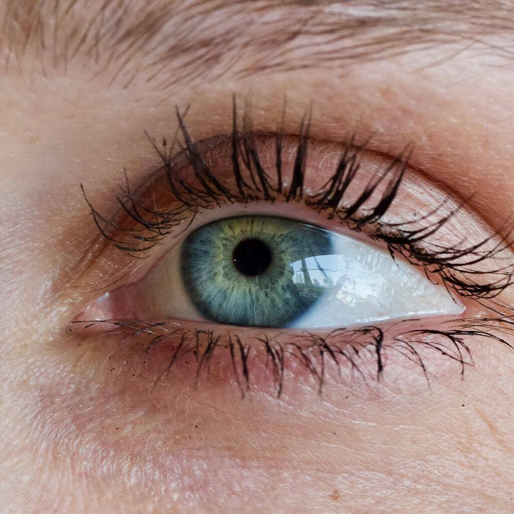 werthermans's tweet photo. Everyone has two eyes, but no one has the same view. 👁️ 
#eye https://t.co/ZtbPmbX4iA https://t.co/BCtZgQn0Jw