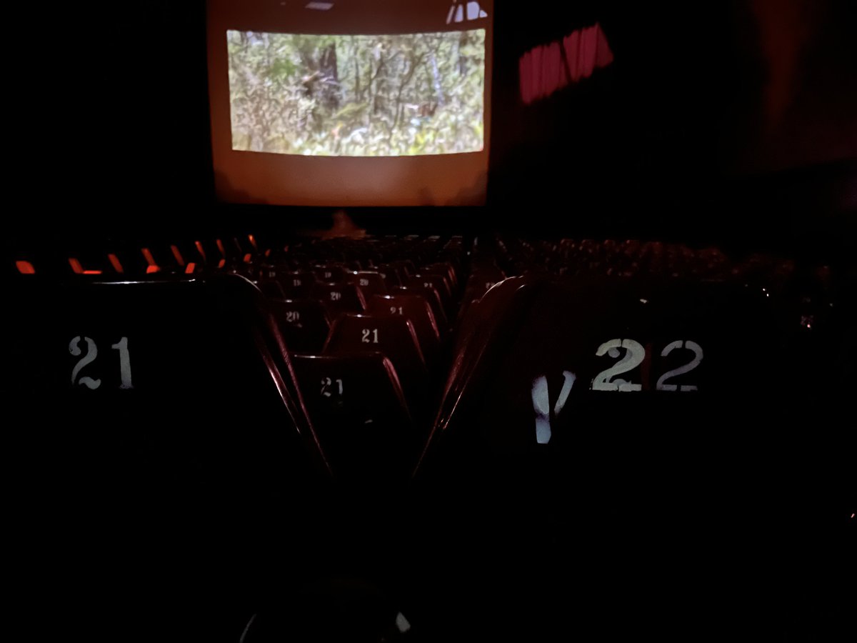 znxx0811's tweet photo. ด้วยความอยากรู้ อยากซนอ่ะเนอะ 555 
มีใครเจอผมบ้างไหมน้าา ใครอยากรู้เป็นไง
กดรีไว้เบย เดะมารีวิวให้ฟัง
#โรงหนังสะพานควาย #เอ้าดอร์
#พหลเธียเทอร์ #เอ้าดอร์โชว์ควย 
#น้ำแตก #โม๊คควยน้ำแตก 
#มหาลัยขี้เงี่ยน https://t.co/wPGIWGwFpZ