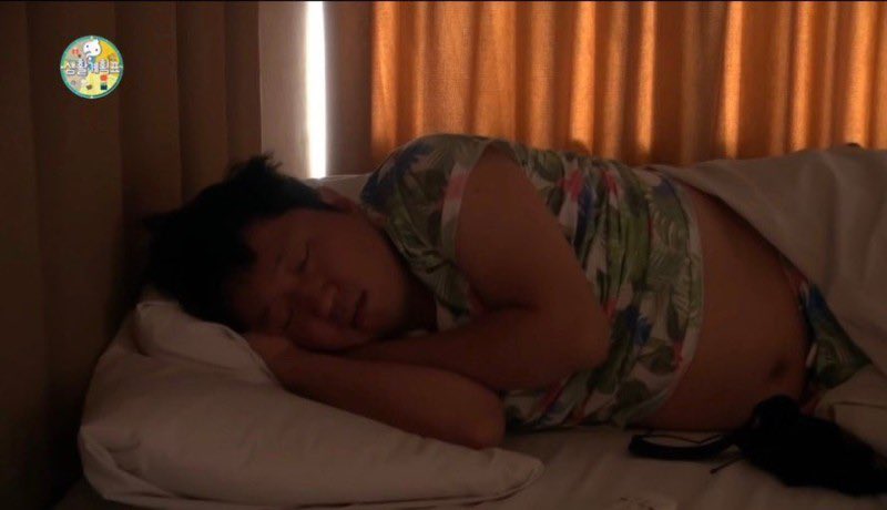 이 사진만큼 부러워보이는게 없음.. 저 커튼 사이로 약간 들어오는 빛때문에 은은한 조명부터 배까고 자는거. 그리고 이불 약간 덮어져 잇는거까지 존나 맛잇게 잔다의 그 자체임