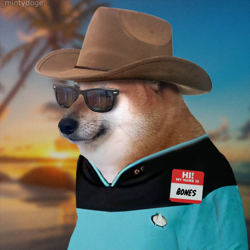 MyDogeCTO's tweet photo. Which is ur fav #CTOStyle?? Vote below👇 https://t.co/cgrgh0vlBY