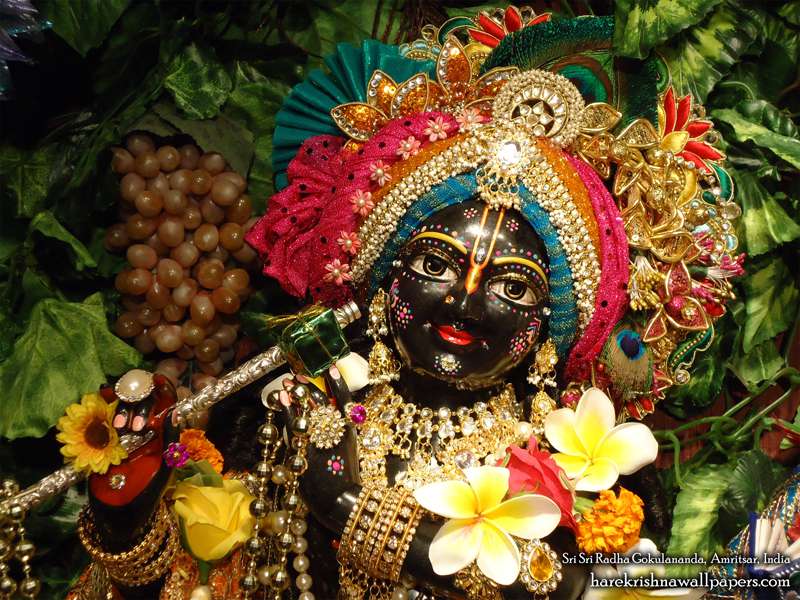 hkwallpapers's tweet photo. Sri Gokulananda Close up Wallpaper (010) 

Download Wallpaper: https://t.co/yEHwILJjry

Subscribe to Hare Krishna Wallpapers: https://t.co/9KznnOc43C https://t.co/Az4gwqJW1G