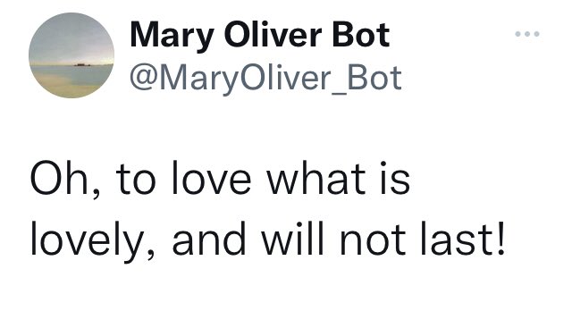 Paul Cumin tweet media