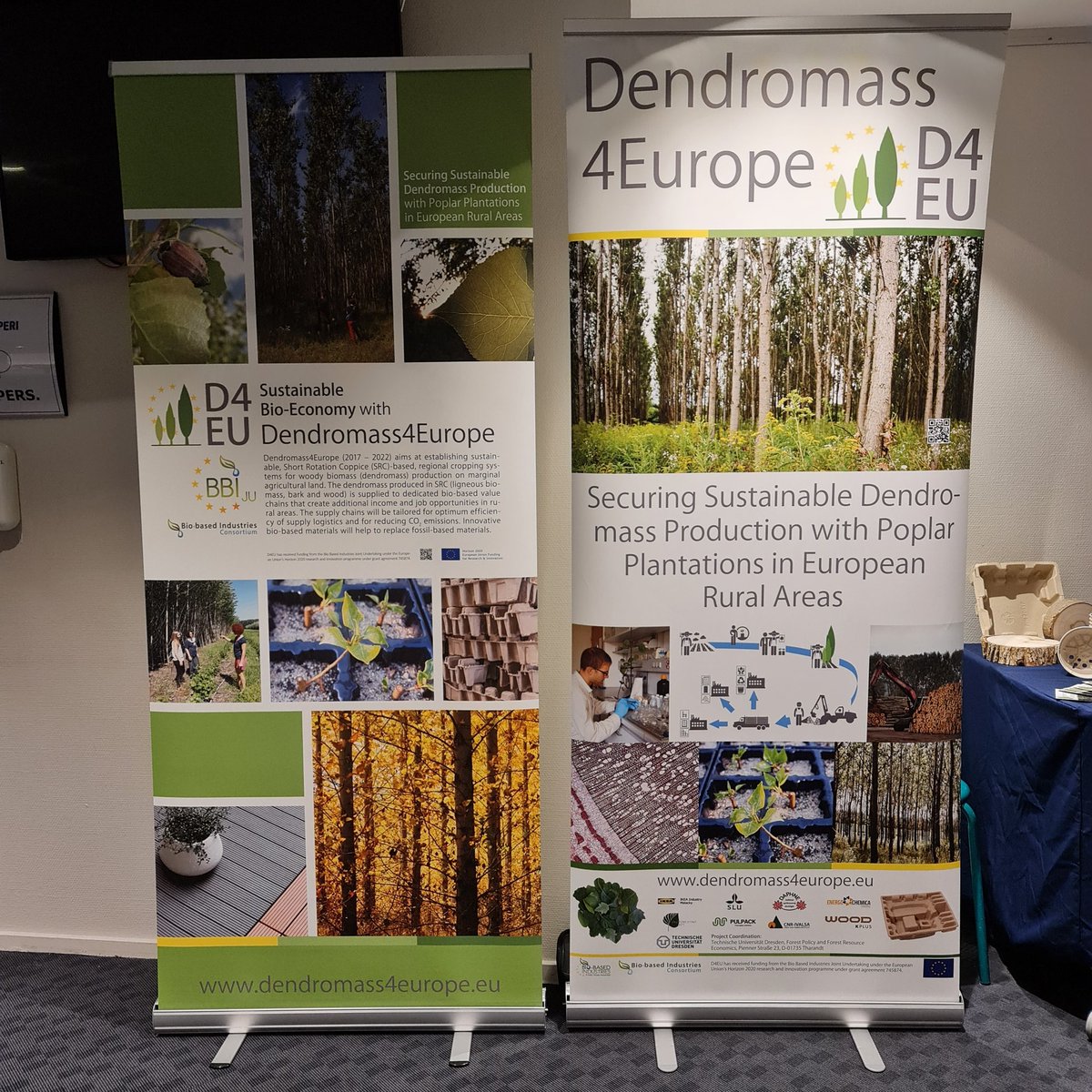 Dendromass4Europe tweet media