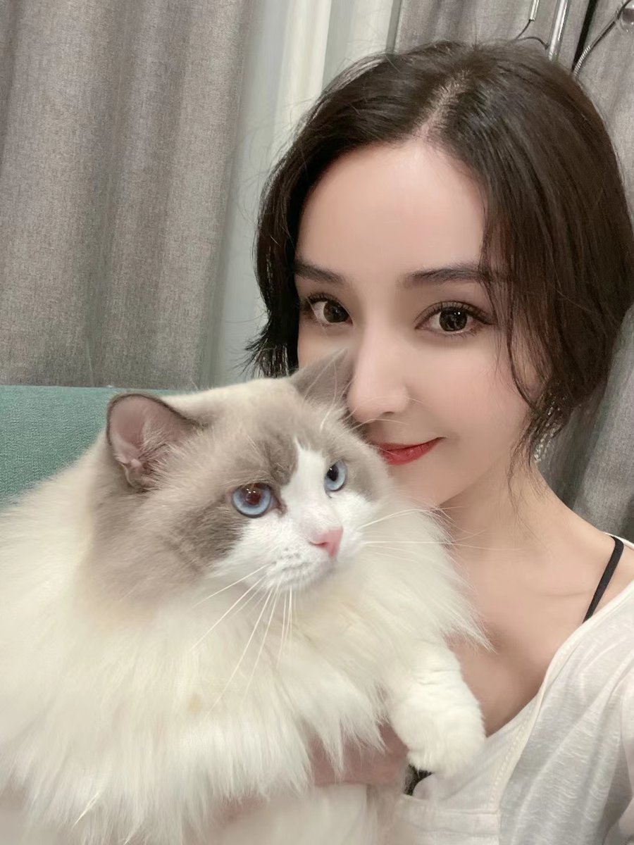 annie91991's tweet photo. This is the cat I like. https://t.co/wm1yoD7XeN