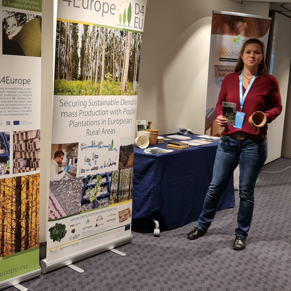 Dendromass4Europe tweet media