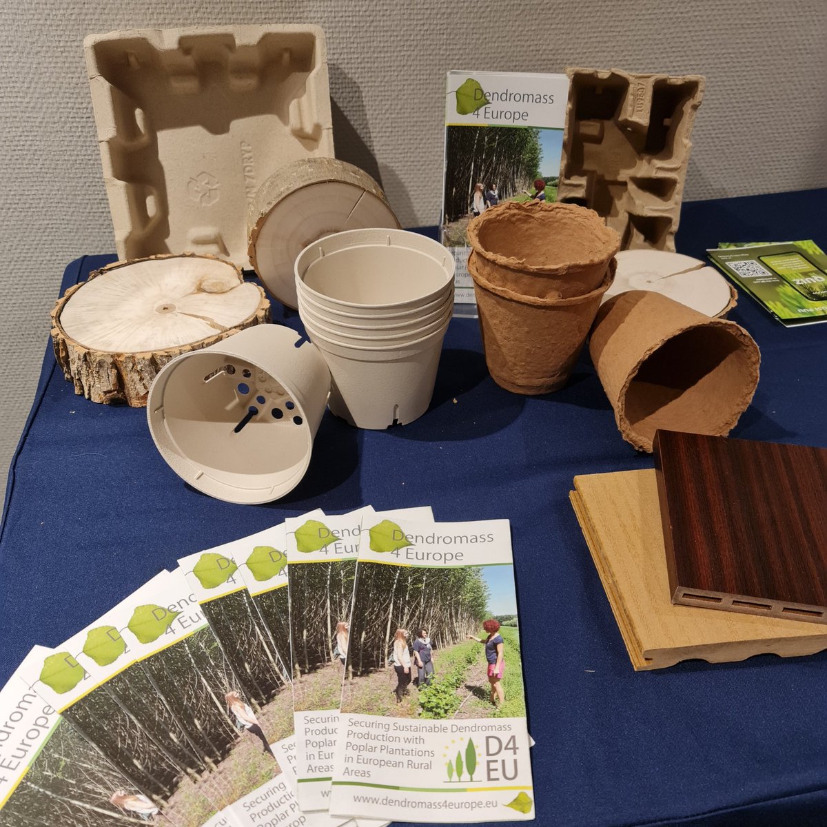 Dendromass4Europe tweet media