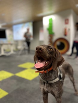 zooplus Tech Madrid tweet media