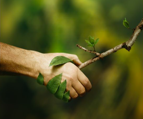 ClimaJoes's tweet photo. We won’t have a society if we destroy the environment. – Margaret Mead
#climatechange #climate #planet #humanity #fridaysforclimate https://t.co/Bpyqwc77Mc