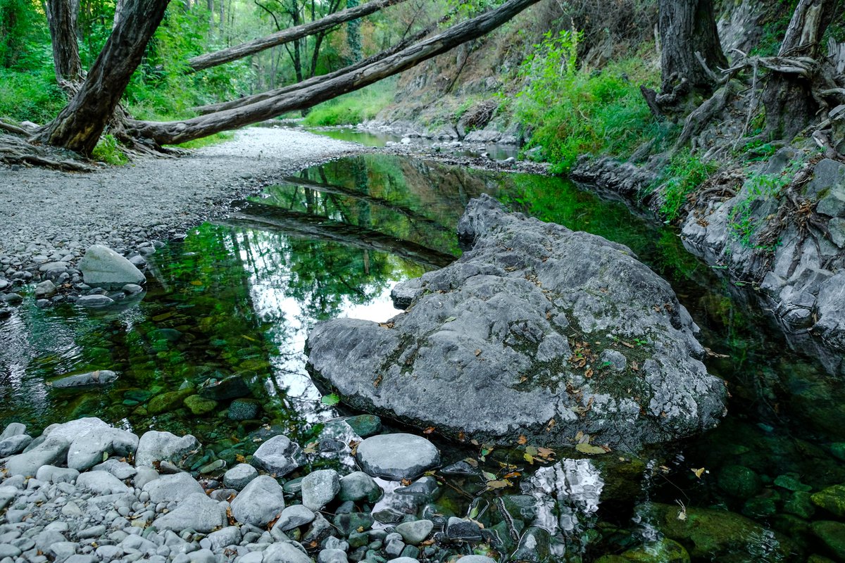 AlexSpace45's tweet photo. Exploring the #TCCForests https://t.co/0ESumpaVIf