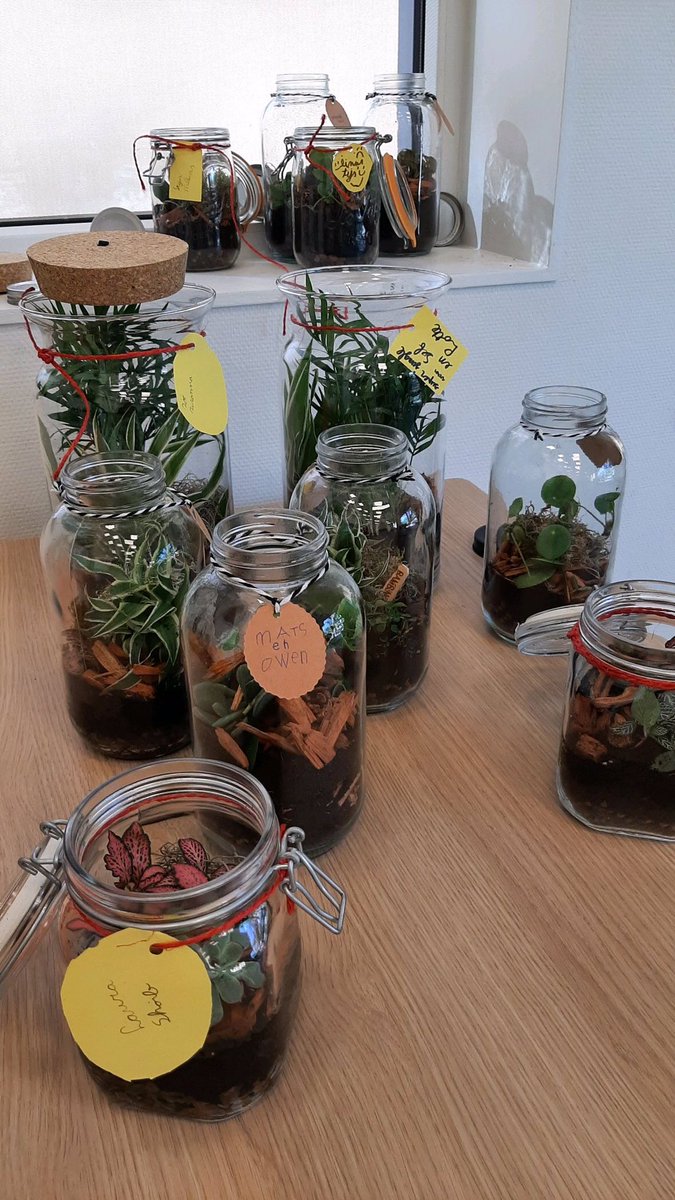 Vandaag maakten wij in tweetallen onze eigen mini-ecodomes. We gingen we aan de hand van een stappenplan (begrijpend lezen) zelf aan de slag. Morgen gaan we verder onderzoek doen, want hoe kunnen de plantjes overleven in een dichte pot zonder dat je water en zuurstof toevoegt.