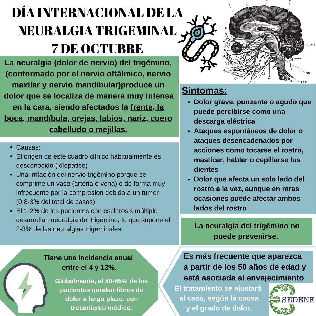 esclerosiseme's tweet image. La #neuralgiadeltrigémino es uno de los síntomas invisibles que pueden aparecer en #EsclerosisMúltiple.

😖⚡Es un dolor facial intenso, punzante, como descargas, en un lado de la cara.
😕Puede ser muuuy limitante.

#DiaInternacionalNeuralgiaTrigémino
bit.ly/3efSkKe