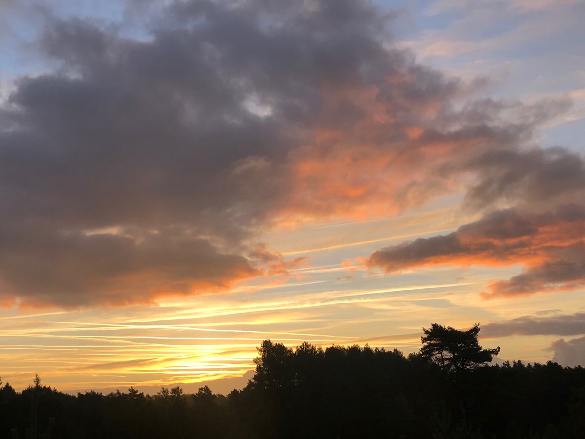 Happy Friday you cool cats. Here’s todays sunrise in Dorset.
Today is all about presentations - 6 prospects, all looking to add a hybrid channel to their existing business… don’t bungle it Johnny Boy !
#digitalfinancialplanning #hybrid #ifa #sunrise