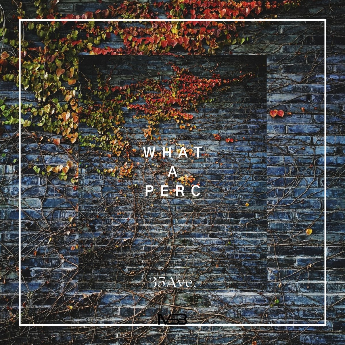 three5ave's tweet photo. What A Perc EP Out Now 🙏🏾🌍▶️

Buy: https://t.co/xsyE0UaErY

Label:@MySoundBox1 

#AfroHouse #Traxsource #ElectronicMusic https://t.co/oKnPfJyJSe