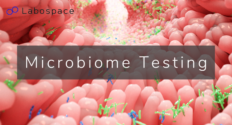 labospace's tweet photo. 💡 Learn more about what makes our #microbiome analysis unique: https://t.co/TCUzo66U4m https://t.co/4cWvnZxMrM